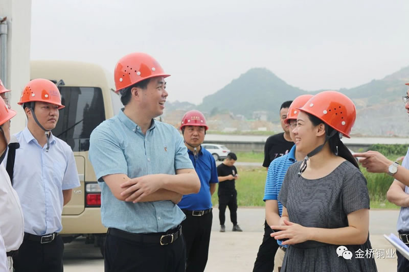Mayor Xu Jianbing Inspects the Intelligent Construction Project of BRIDGOLD New Factory