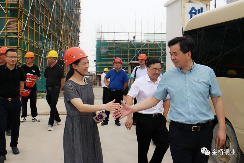 Mayor Xu Jianbing Inspects the Intelligent Construction Project of BRIDGOLD New Factory